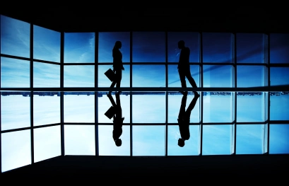 Expert Advisory Services